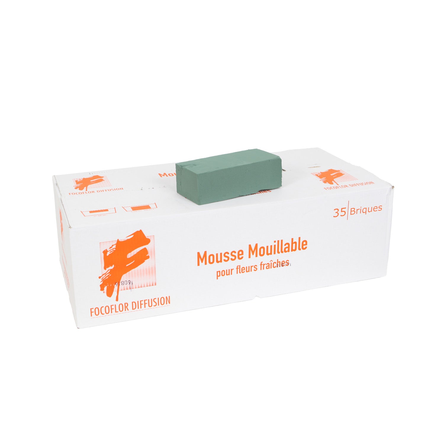 Bloc de Mousse Focoflor Diffusion
