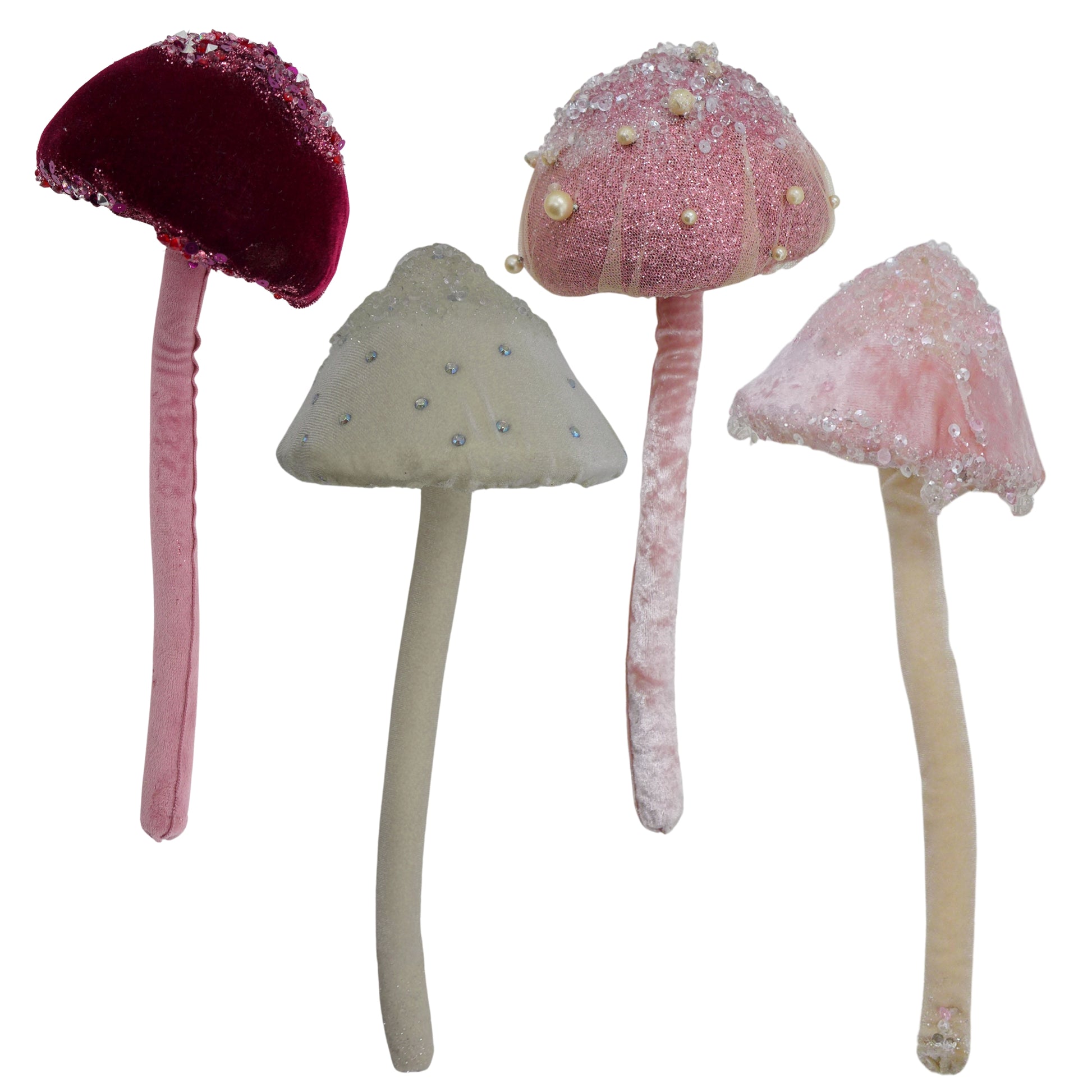 Champignons Velours