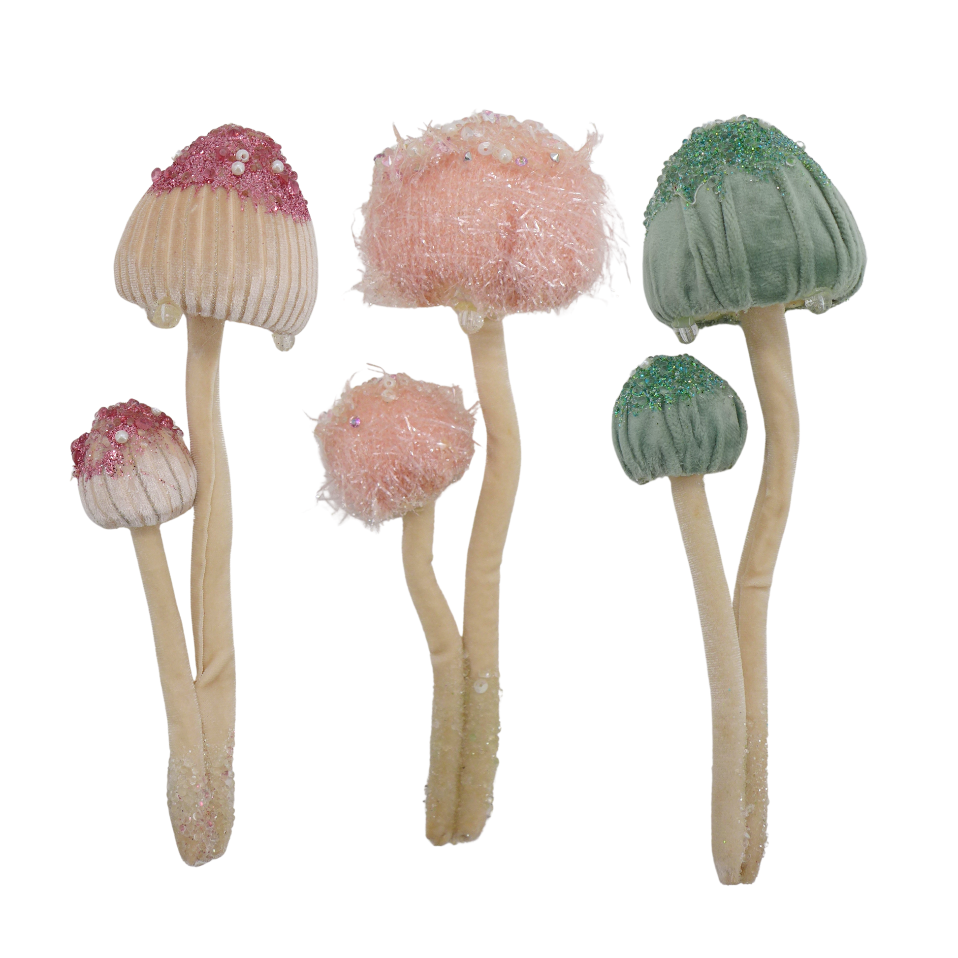 Champignons Velours