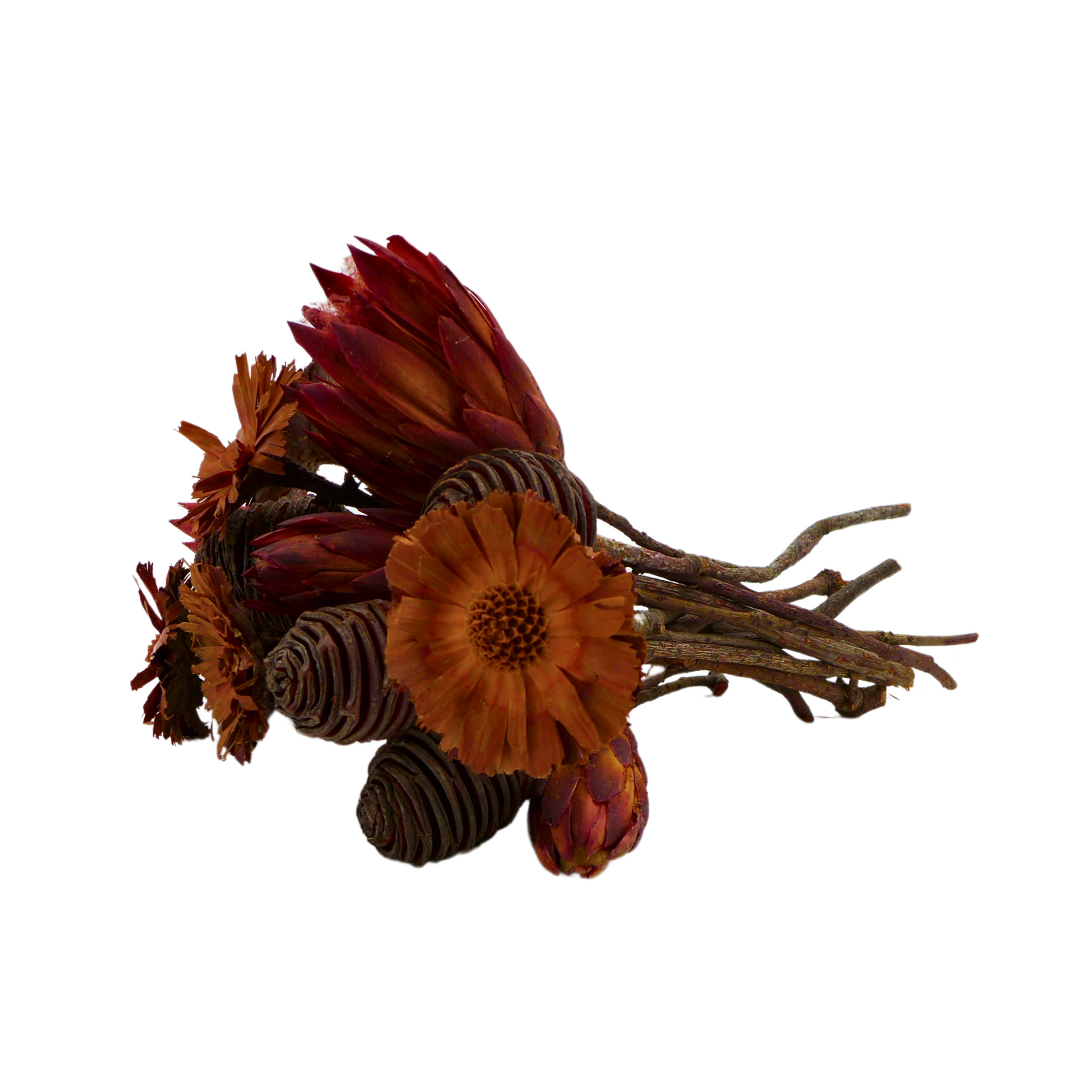 Bouquet Protea Sec