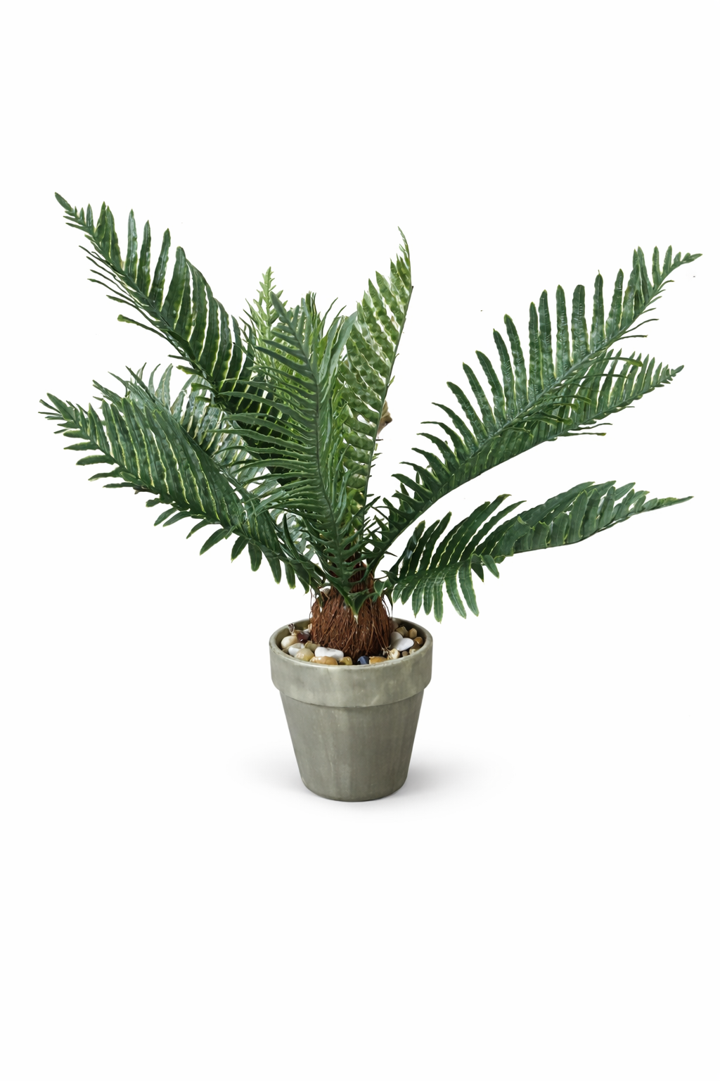 Arbre Cycas artificiel