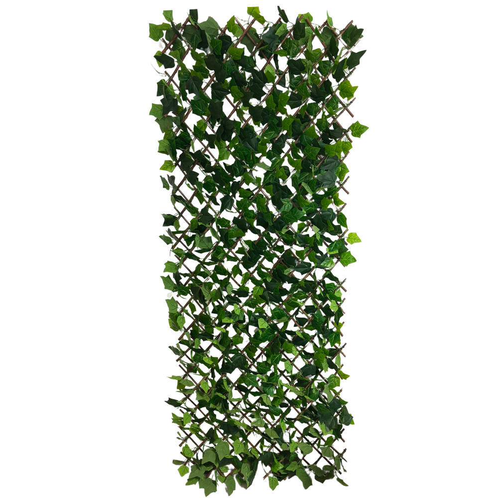 Mur végétal Lierre + bois