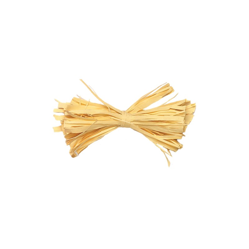 Bobine de Raphia