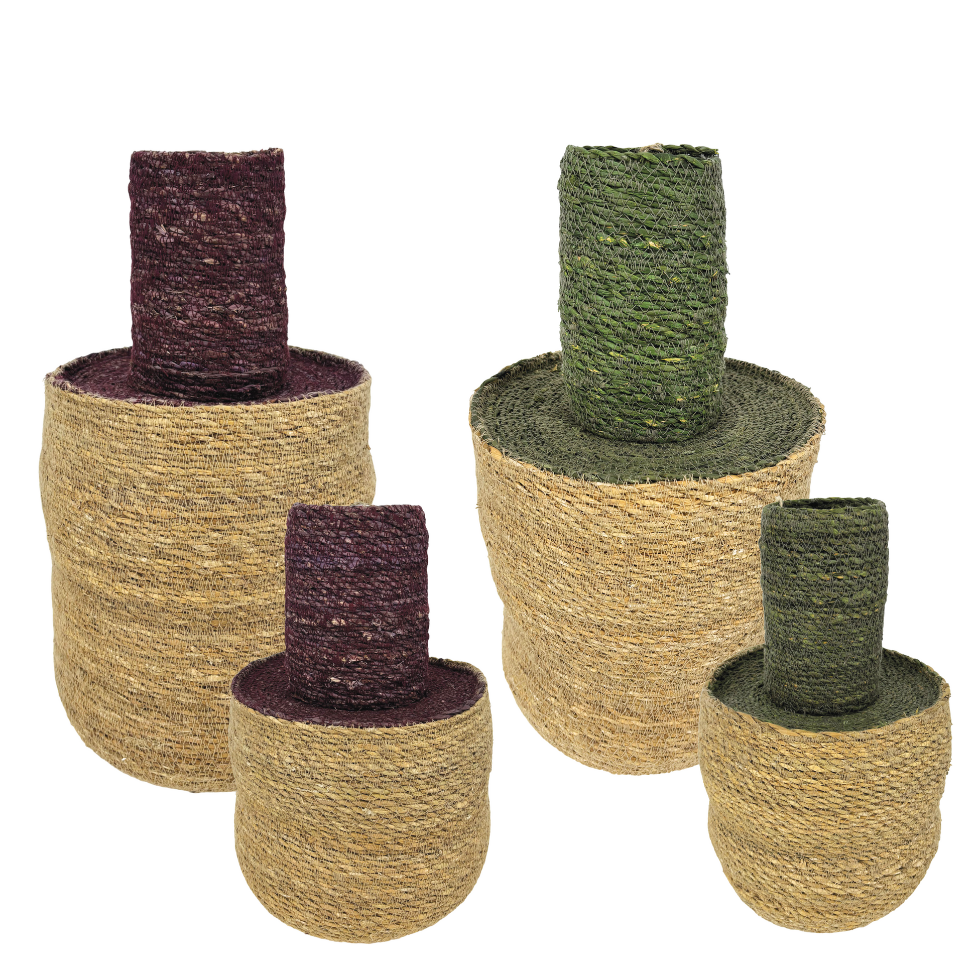 Bouteille Seagrass Violet et Olive