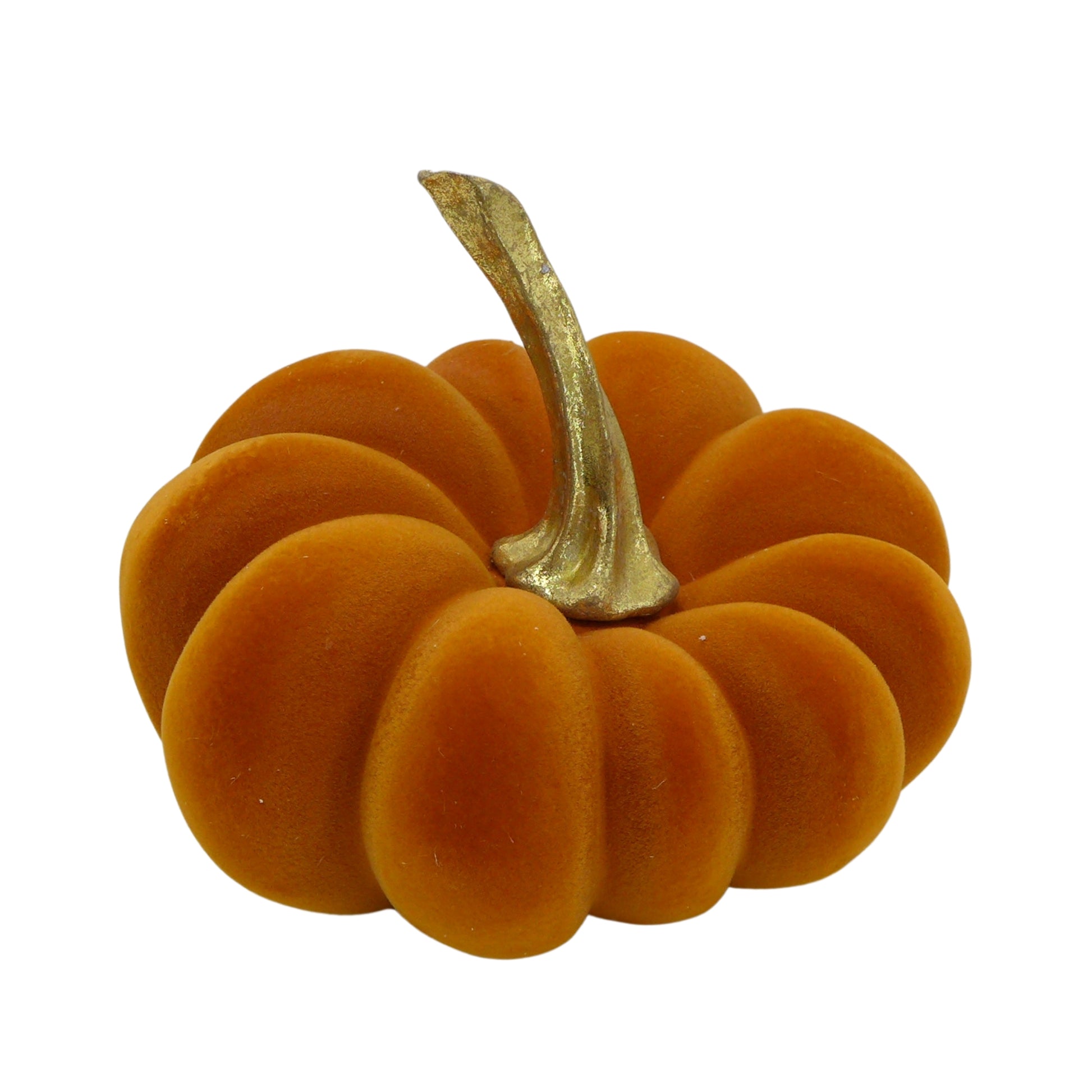 Citrouille en Velours